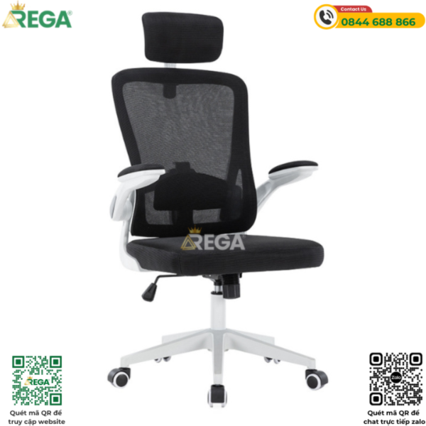 Ghế công thái học REGA R-HYL667