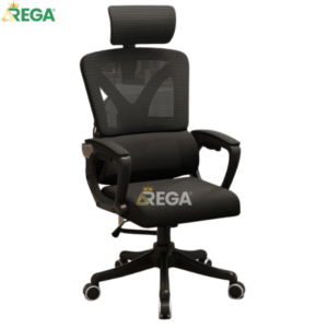 Ghế công thái học REGA TMS08 Black-1