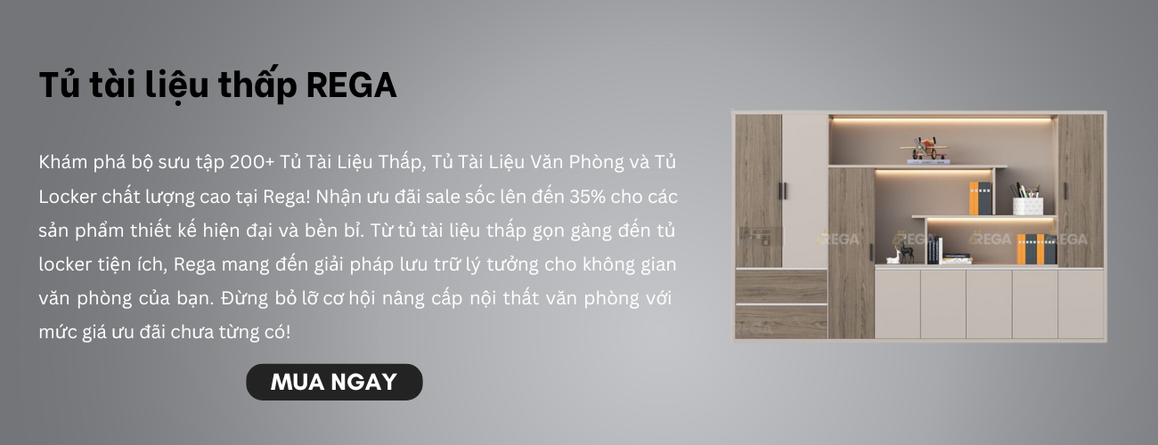 poster tủ tài liệu thấp rega