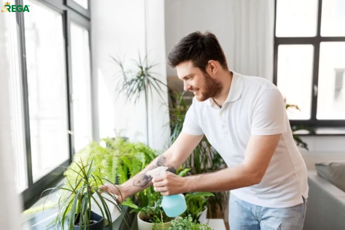 12 Mẫu Cây Giả Trang Trí Phòng Khách Đẹp, Bền Và Dễ Bảo Quản Bảo quản và vệ sinh cây giả trang trí phòng khách đúng cách