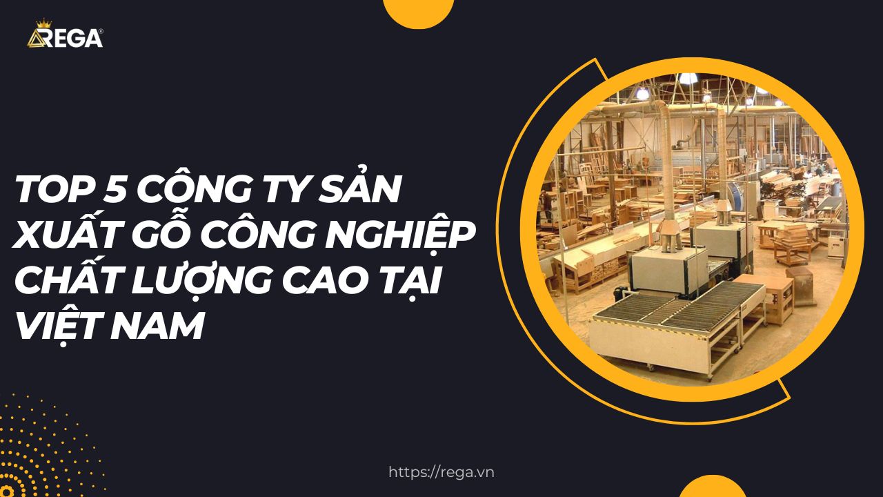 Top 5 công ty sản xuất gỗ công nghiệp chất lượng cao tại Việt Nam