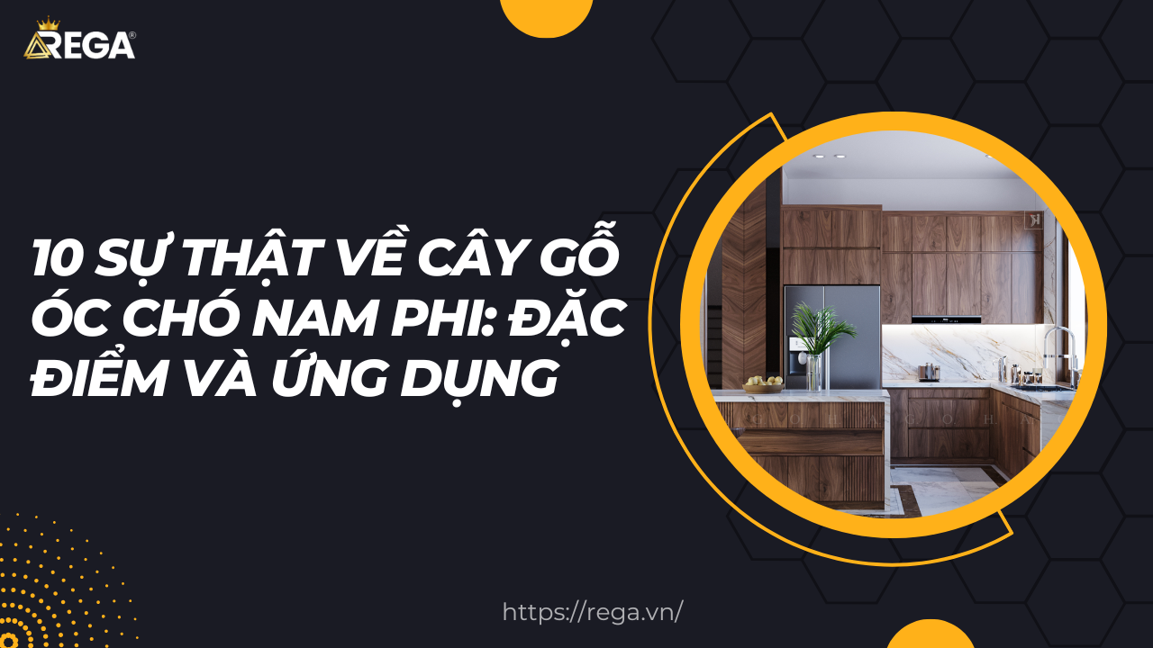 10 sự thật về cây gỗ óc chó Nam Phi: Đặc điểm và Ứng dụng