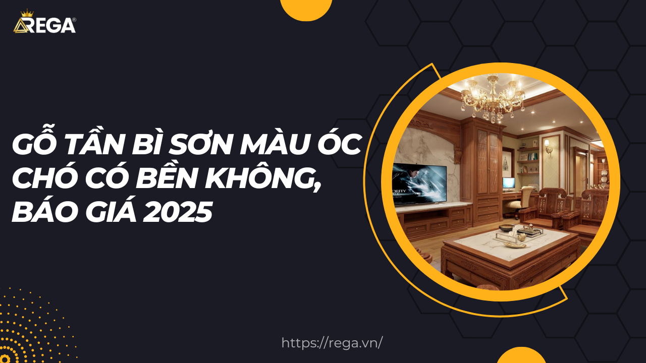 Gỗ Tần Bì Sơn Màu Óc Chó Có Bền Không, Báo Giá 2025