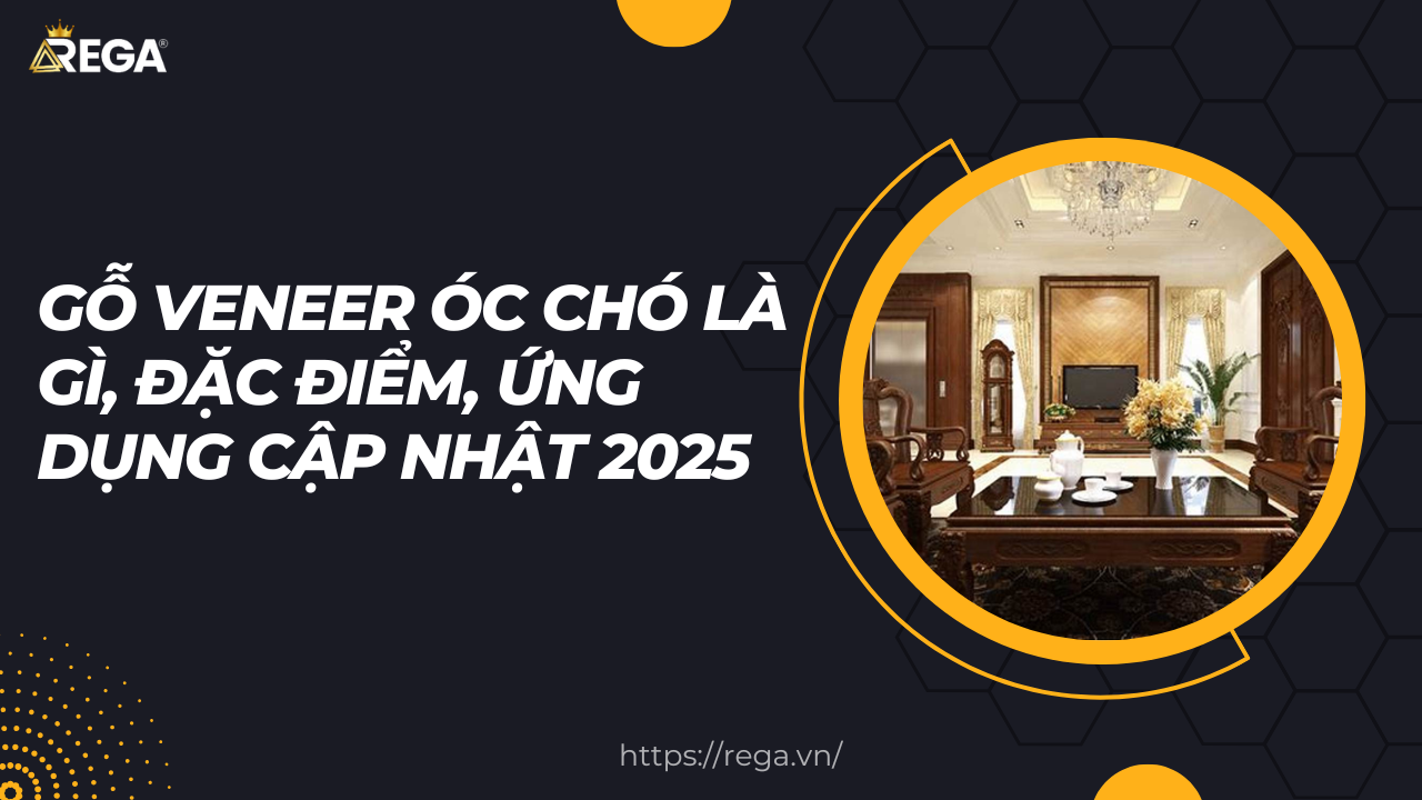 Gỗ Veneer Óc Chó Là Gì, Đặc Điểm, Ứng Dụng Cập Nhật 2025