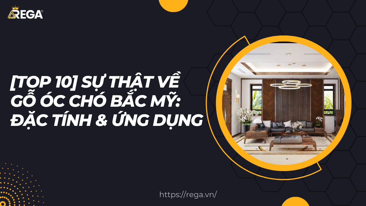 [TOP 10] Sự Thật Về Gỗ Óc Chó Bắc Mỹ: Đặc Tính & Ứng Dụng