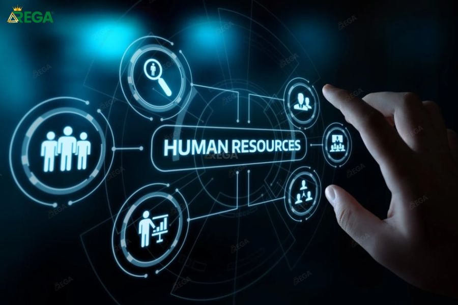 Các Hệ Thống Quản Lý Nhân Sự Phổ Biến và Cách Xây Dựng