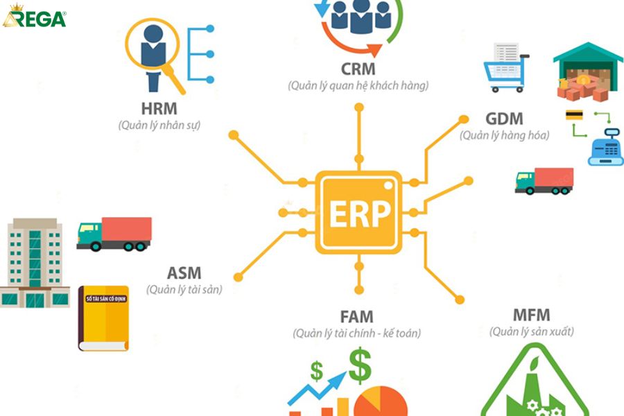 Tại Sao Doanh Nghiệp Cần Phần Mềm Quản Trị Kinh Doanh