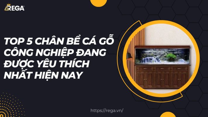 Top 5 Chân Bể Cá Gỗ Công Nghiệp Đang Được Yêu Thích Nhất Hiện Nay