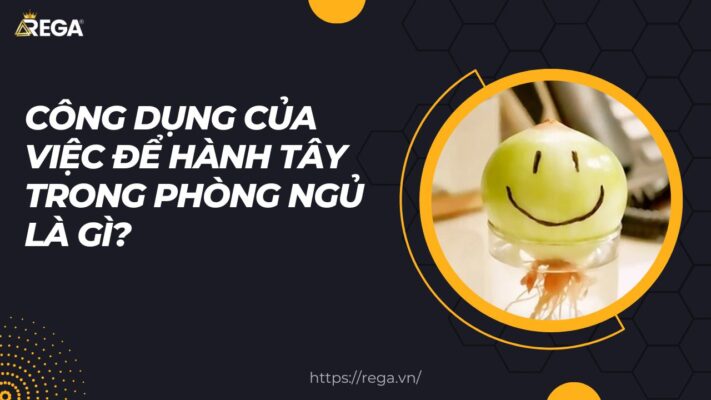 Anh Dai Dien Rega 11 2