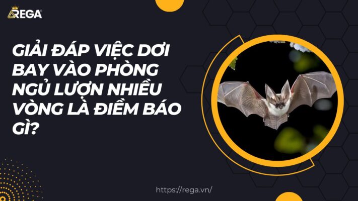 Anh Dai Dien Rega 8 1