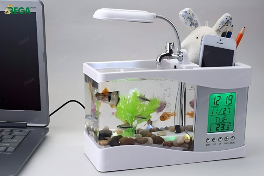 Hướng Dẫn Chăm Sóc Bể Cá Để Đảm Bảo Phong Thủy Tốt