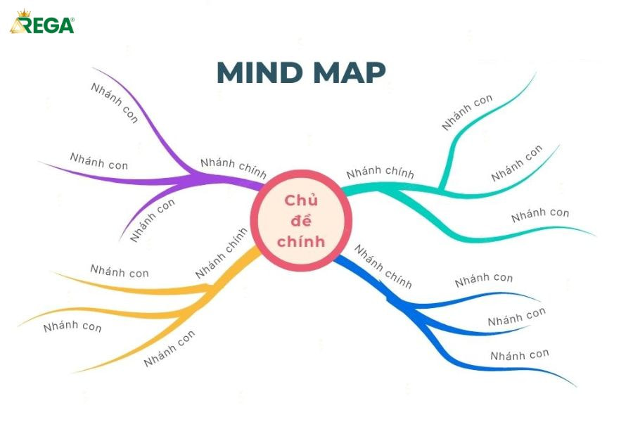 Sơ đồ tư duy