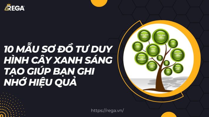 10 Mẫu Sơ Đồ Tư Duy Hình Cây Xanh Sáng Tạo Giúp Bạn Ghi Nhớ Hiệu Quả