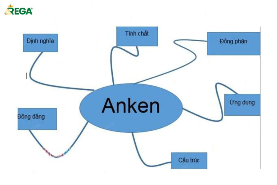 Hướng Dẫn Tự Vẽ Sơ Đồ Tư Duy Anken Đầy Đủ, Chi Tiết