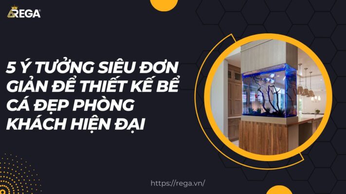 5 Ý Tưởng Siêu Đơn Giản Để Thiết Kế Bể Cá Đẹp Phòng Khách Hiện Đại