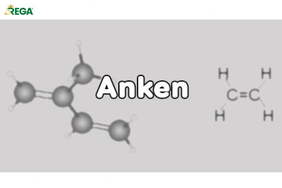 Tính Chất Vật Lý Của Anken