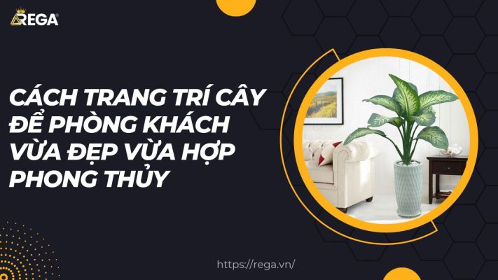Cách Trang Trí Cây Để Phòng Khách Vừa Đẹp Vừa Hợp Phong Thủy