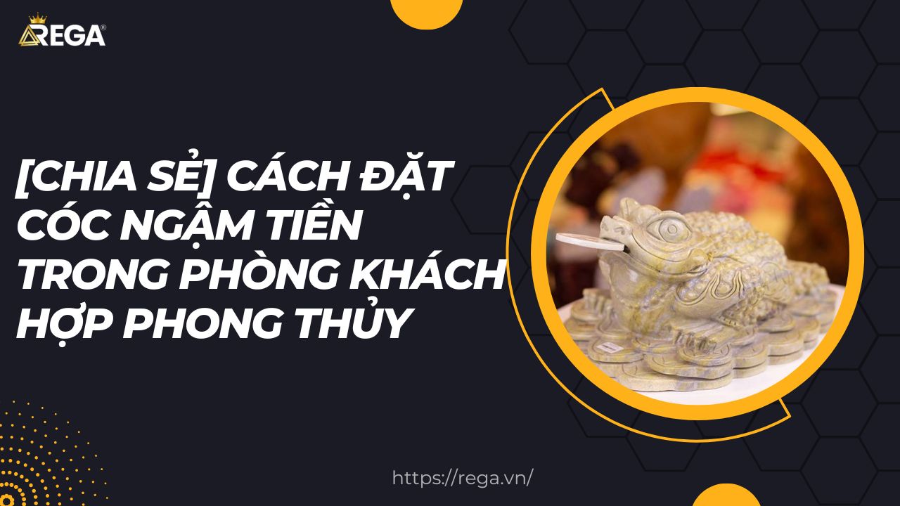 [Chia Sẻ] Cách Đặt Cóc Ngậm Tiền Trong Phòng Khách Hợp Phong Thủy
