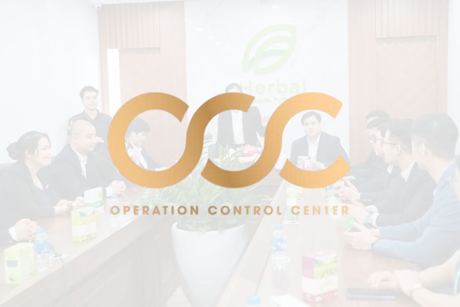 Dự Án Thi Công Văn Phòng Công Ty OCC