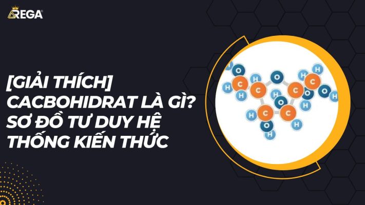 [Giải thích] Cacbohidrat Là Gì? Sơ Đồ Tư Duy Cacbohidrat