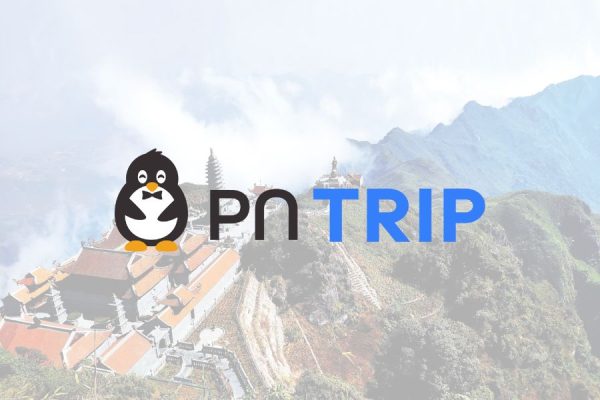 Rega Thi Công Nội Thất Công Ty Du Lịch PN Trip