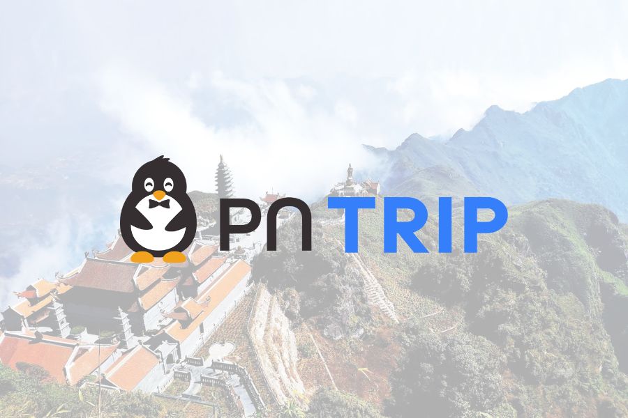 Rega Thi Công Nội Thất Công Ty Du Lịch PN Trip Rega Thi Công Nội Thất Công Ty Du Lịch PN Trip
