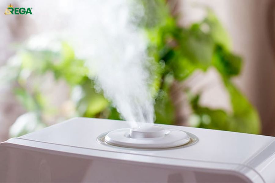 Hướng dẫn sử dụng, vệ sinh và bảo trì máy phun sương trong phòng ngủ