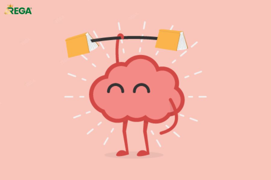 Hướng Dẫn Chi Tiết Tư Duy Phát Triển Cho Người Mới Bắt Đầu Phần Hỏi Đáp (FAQ)