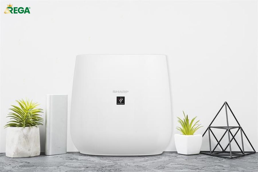 Top 5 Máy Lọc Không Khí Mini Tốt Nhất Cho Phòng Ngủ Hiện Nay Sharp FP-J30E-B - Công nghệ Plasmacluster độc quyền