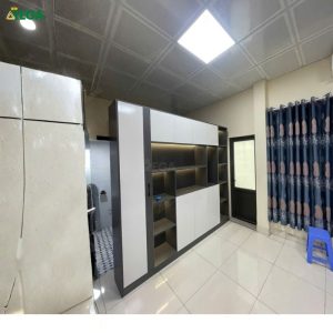 Tủ giám đốc Cobain REGA RT-G171
