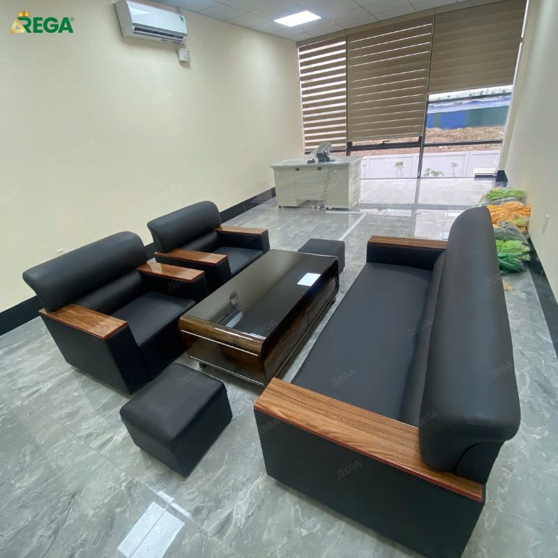 Sofa cao cấp hiện đại REGA RG-H022 Sofa cao cap hien dai REGA RG H0224