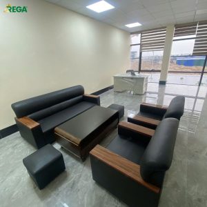 Sofa cao cấp hiện đại REGA RG-H022 Sofa cao cap hien dai REGA RG H0225