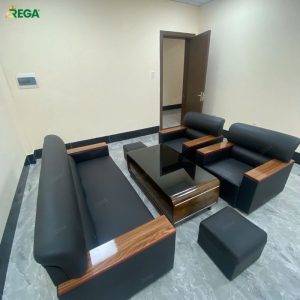 Sofa cao cấp hiện đại REGA RG-H022 Sofa cao cap hien dai REGA RG H0228
