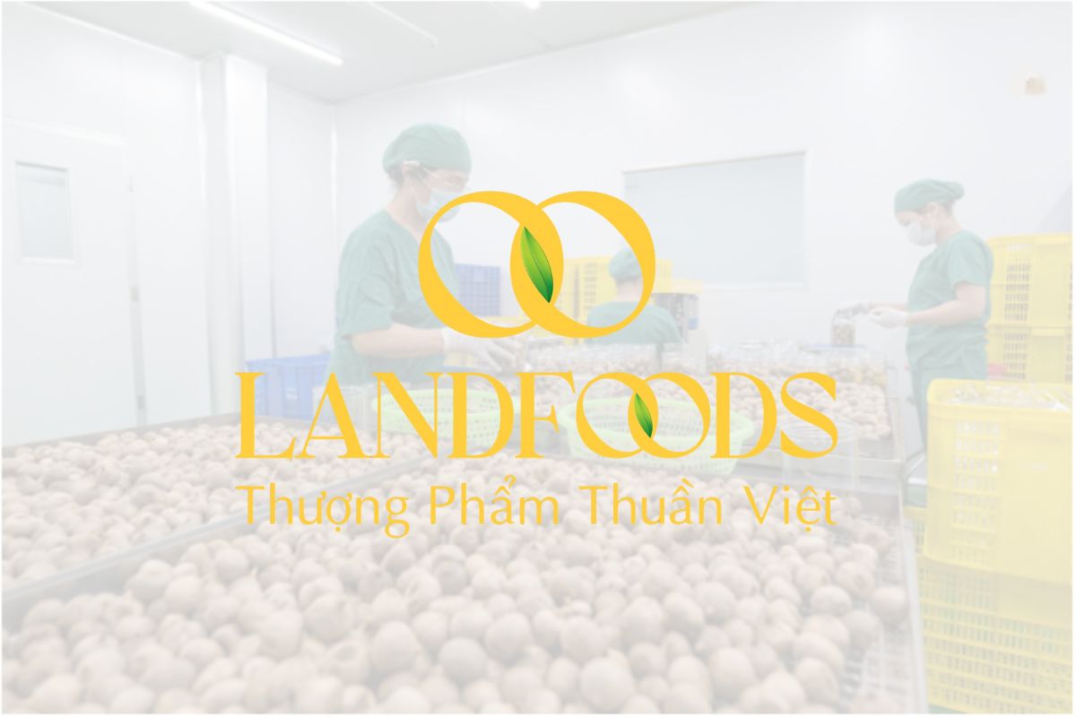 Rega thi công nội thất Công ty TNHH LANDFOOD Rega Thi công nội thất công ty Land Food