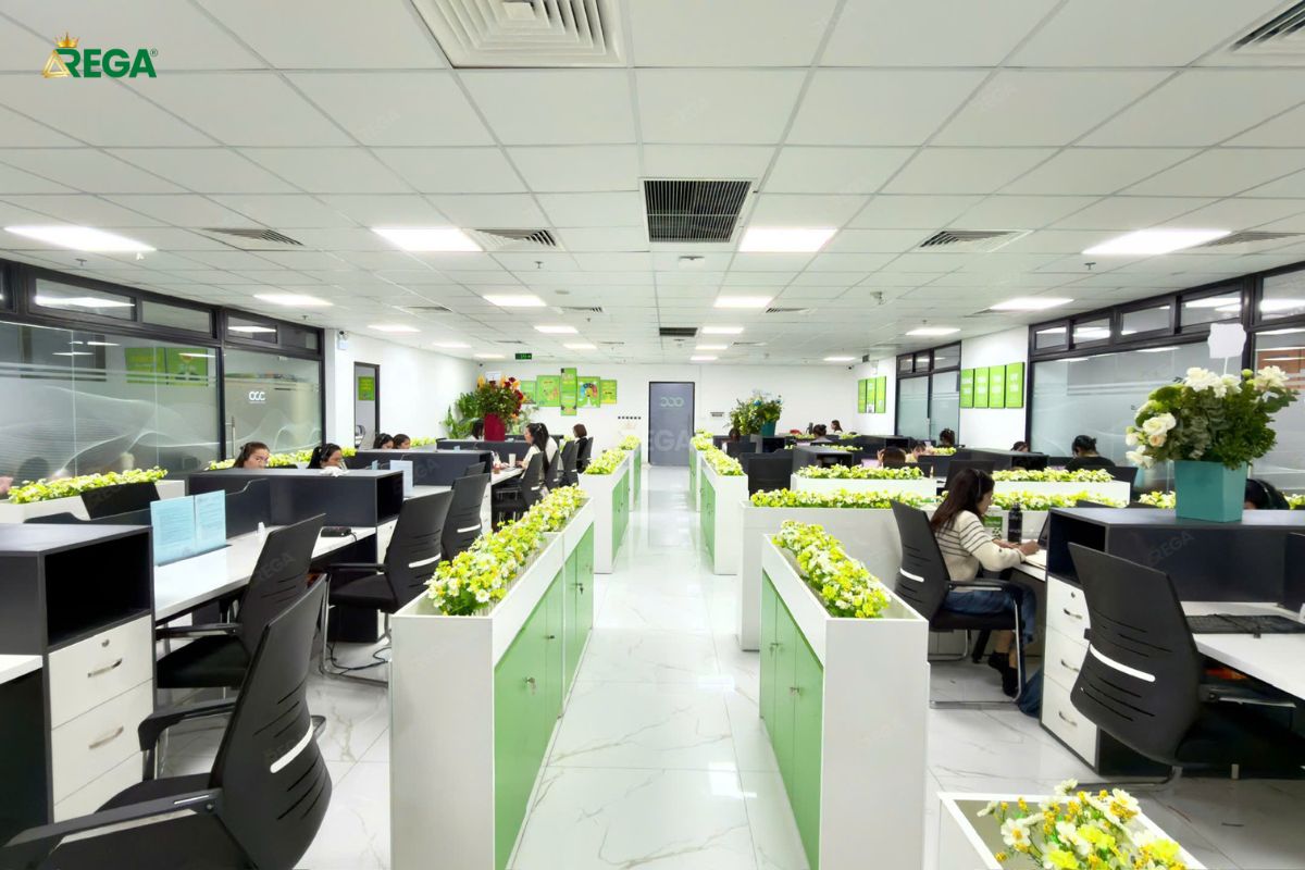 Bố cục nội thất OCC khoa học, dễ vận hành