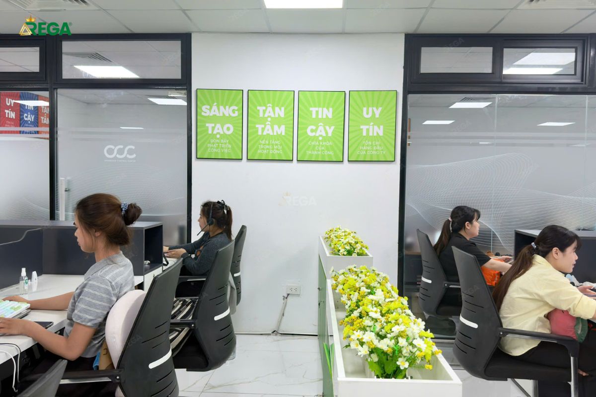 Kệ tủ cây Rega thi công cho OCC