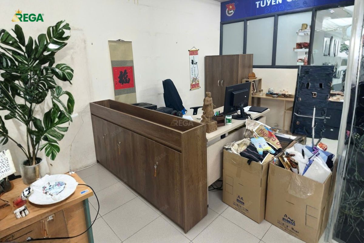 Thi công nội thất văn phòng EV AUTO THANH HÓA Kệ tủ kết hợp cây xanh tạo điểm nhấn cho showroom ô tô
