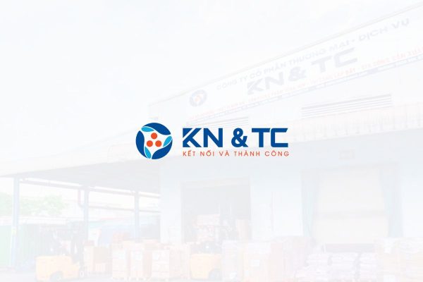 Rega Thi Công Văn Phòng Công Ty KN&TC