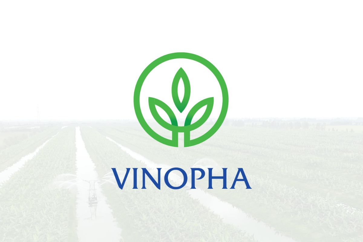 Rega Thi công văn phòng công ty Vĩnh Nông Phát