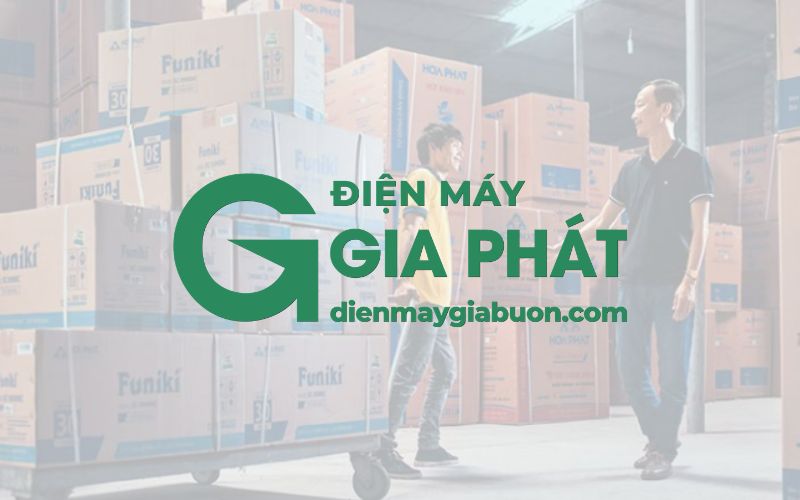 Rega lắp đặt văn phòng Điện Máy Gia Phát