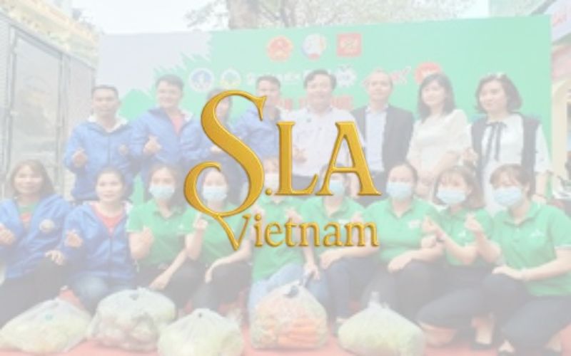 Rega thi công văn phòng công ty S.LA Việt Nam